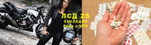 индика Бронницы