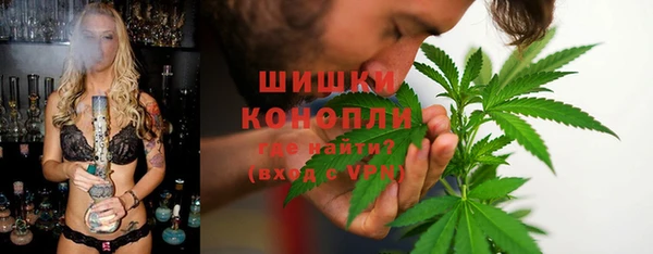 индика Бронницы