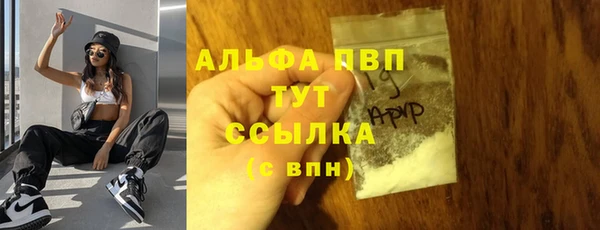 индика Бронницы