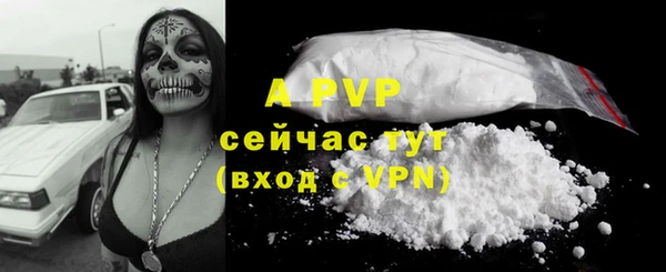 мяу мяу мука Бородино