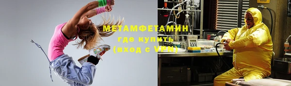 индика Бронницы