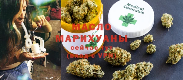 индика Бронницы