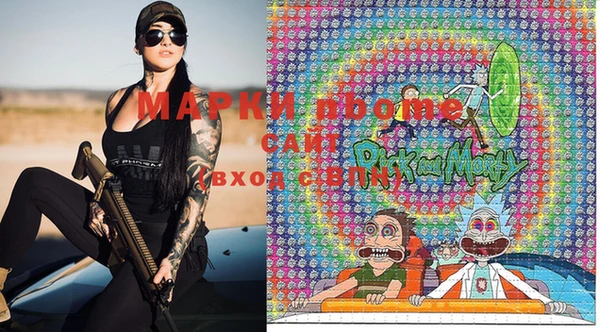 индика Бронницы