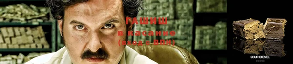 мяу мяу мука Бородино