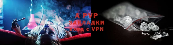 индика Бронницы