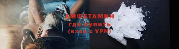 индика Бронницы