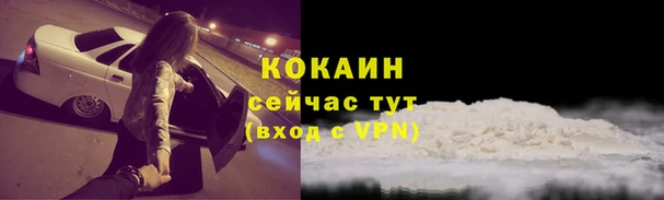 мяу мяу мука Бородино