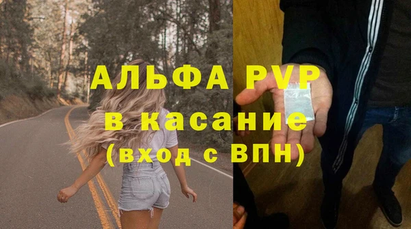 индика Бронницы