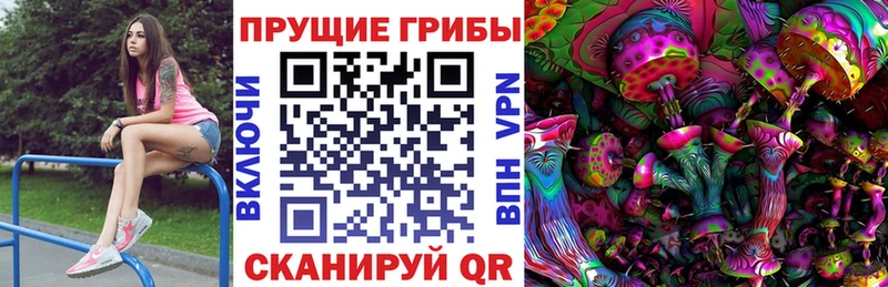 Псилоцибиновые грибы GOLDEN TEACHER  Купить  Анадырь 