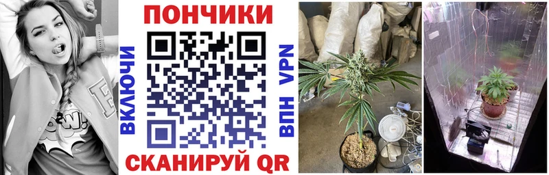 Канабис VHQ  Купить  Анадырь 